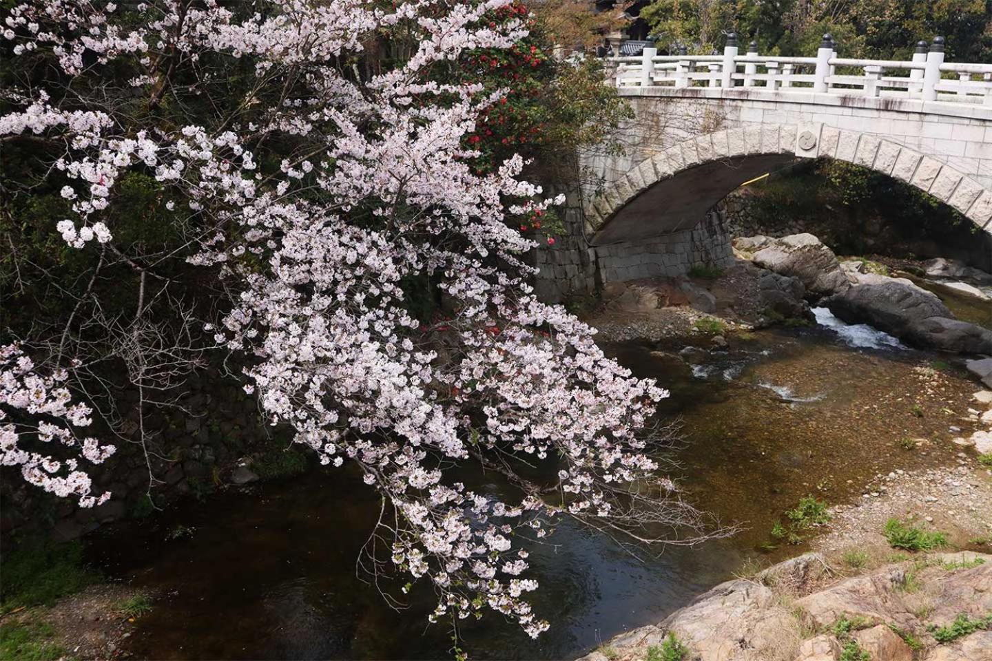 みずまの宿 - Mizuma No Yado Villa Kumatori Ngoại thất bức ảnh